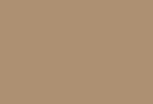 Caramel (890)
