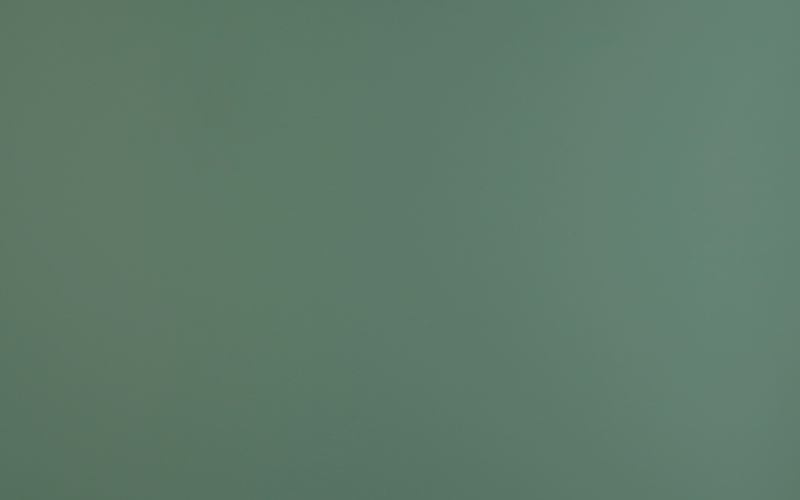 Fenix Verde Brac 0773 (0773)