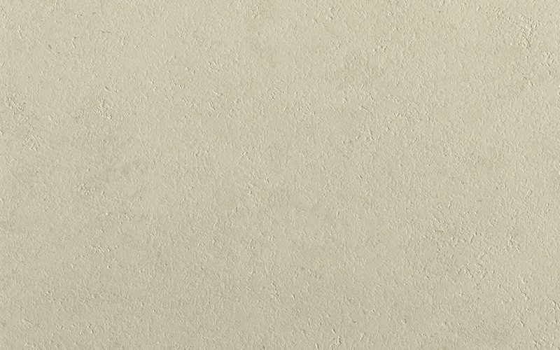 Sandy Stone (886)
